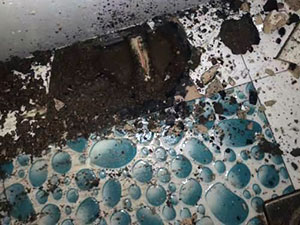 石家莊衛生間測漏